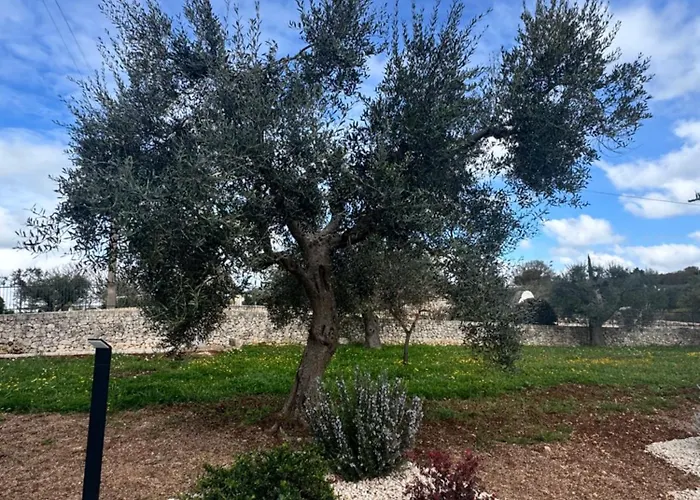 Alberobbe Luxury
